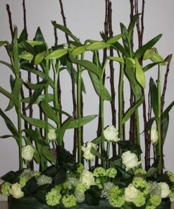 Montage 'Lily'