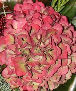 Bouquet 'A la carte'