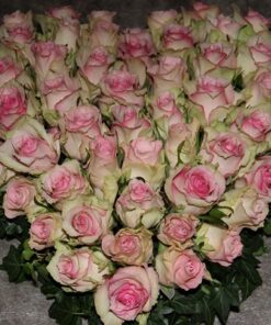 Cœur 'Rosae'