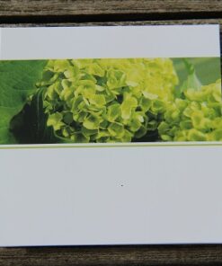 Cartes à message