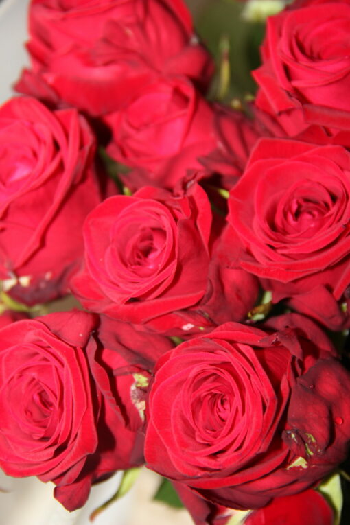 Bouquet 'Rosa' – Image 2