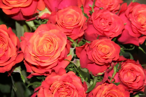 Bouquet 'Rosa' – Image 3