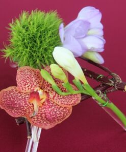 Montage 'Vanda'