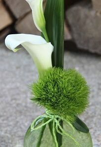 Vase 'plat' garni de Callas