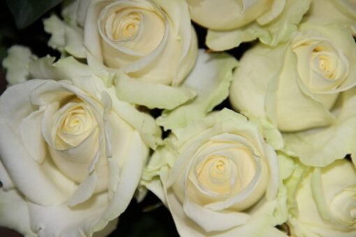 Bouquet 'Rosa'