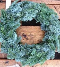 Couronne de Nobilis de 30cm