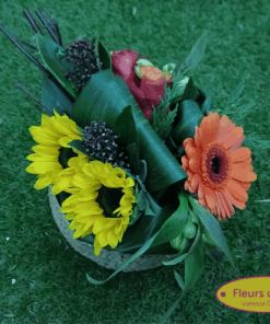 Montage orange et jaune